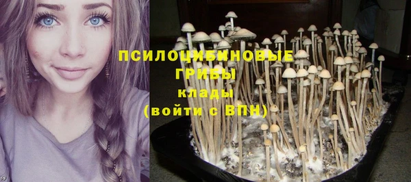 кристаллы Арсеньев