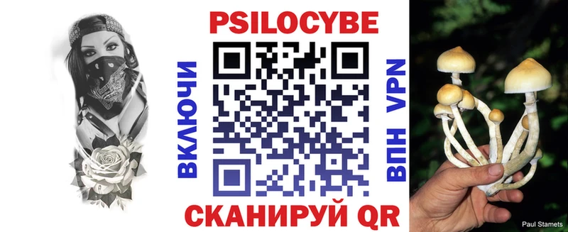 это телеграм  Саяногорск  Галлюциногенные грибы Psilocybe  МЕГА сайт 